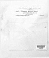 Image Associated With the Occurence